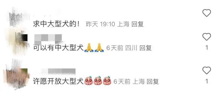 宠物航空箱规格要求_宠物入客舱服务价格_24寸拉杆箱可以带上飞机吗