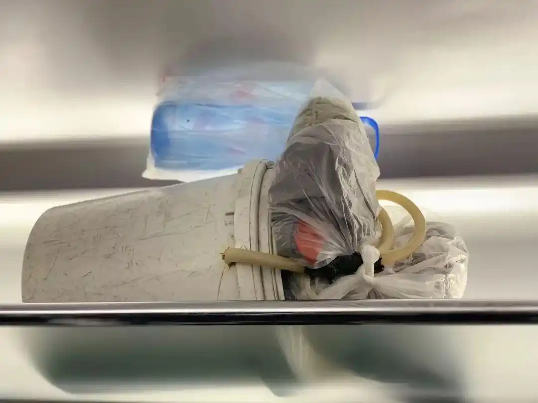 高铁上行李箱应该放在哪儿_高铁行李放置规范_高铁行李架使用指南