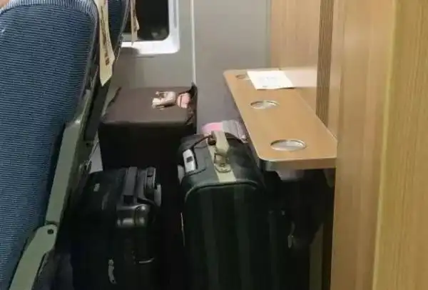 高铁行李架使用指南_高铁行李放置规范_高铁上行李箱应该放在哪儿